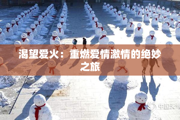 渴望爱火：重燃爱情激情的绝妙之旅