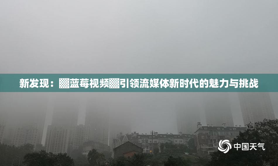 新发现：▓蓝莓视频▓引领流媒体新时代的魅力与挑战