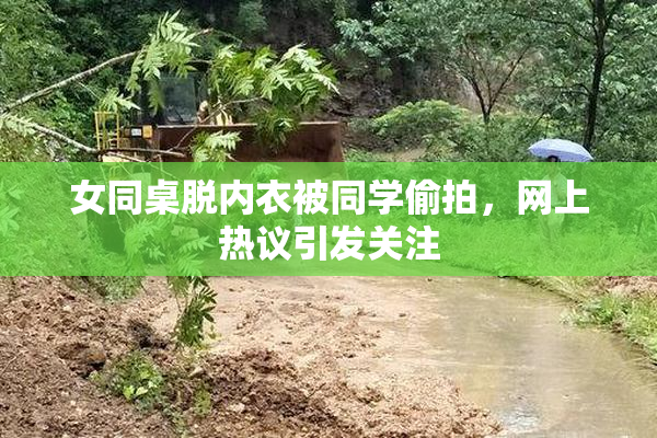 女同桌脱内衣被同学偷拍，网上热议引发关注