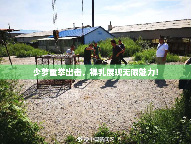 少萝重拳出击，裸乳展现无限魅力！