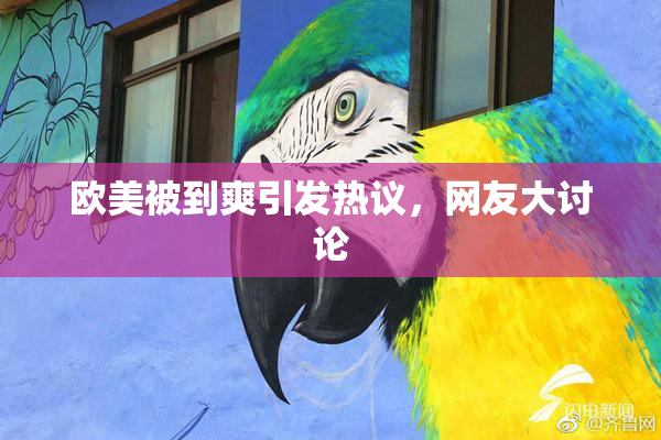 欧美被到爽引发热议，网友大讨论