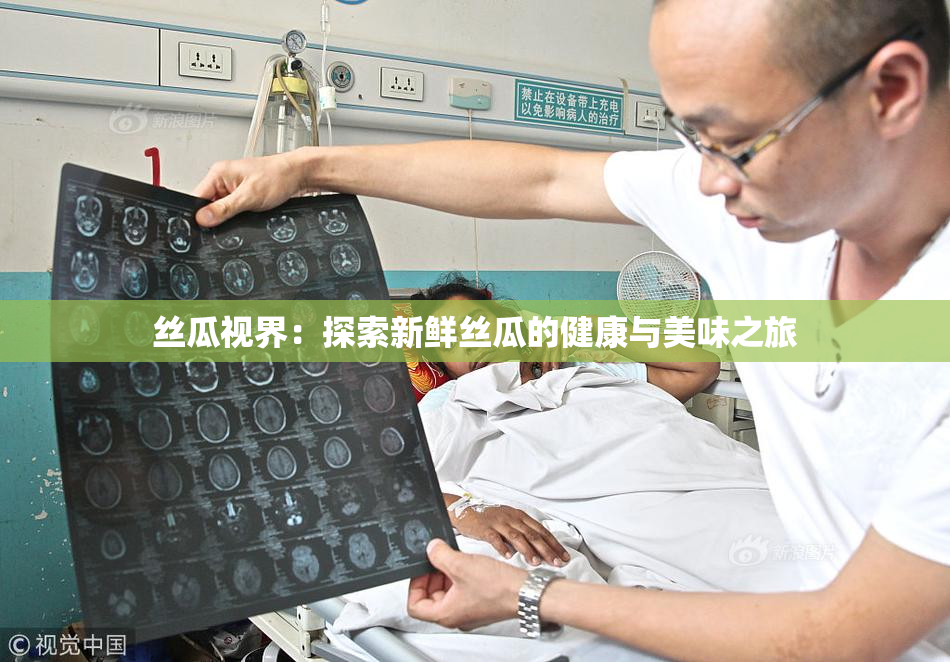丝瓜视界：探索新鲜丝瓜的健康与美味之旅