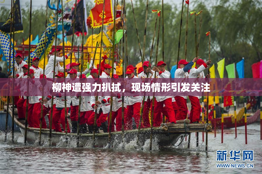柳神遭强力扒拭，现场情形引发关注