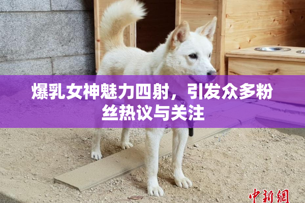 爆乳女神魅力四射，引发众多粉丝热议与关注