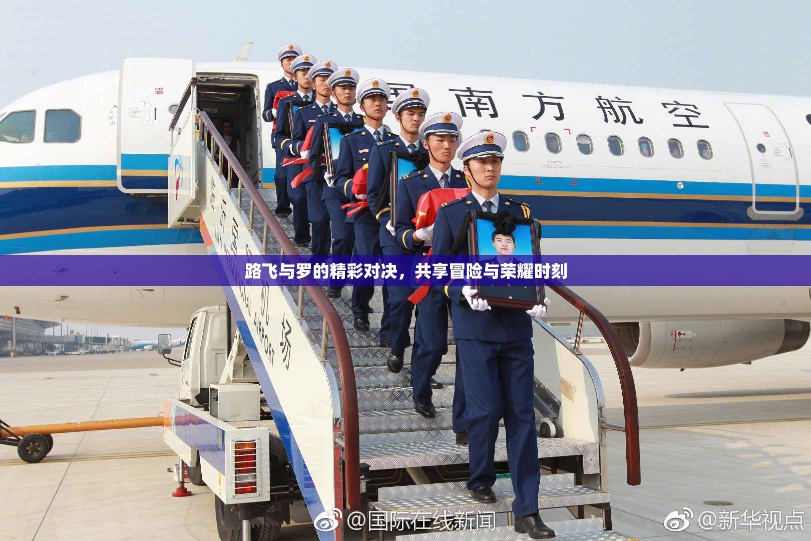 路飞与罗的精彩对决，共享冒险与荣耀时刻
