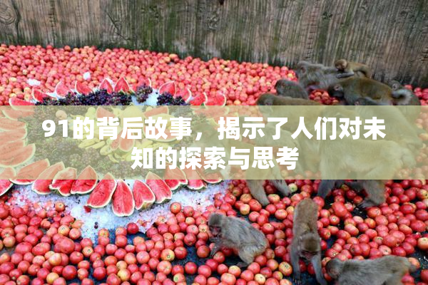 91的背后故事，揭示了人们对未知的探索与思考