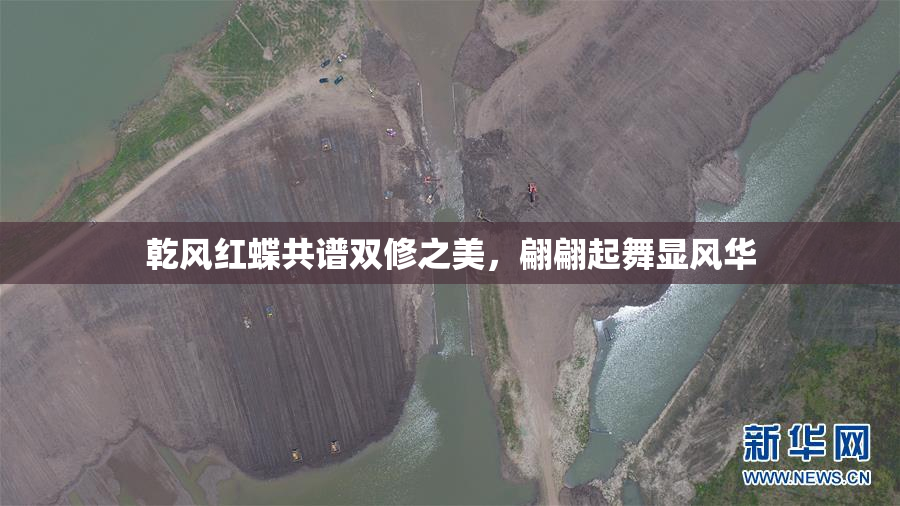 乾风红蝶共谱双修之美，翩翩起舞显风华