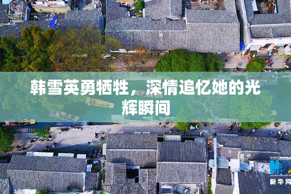 韩雪英勇牺牲，深情追忆她的光辉瞬间