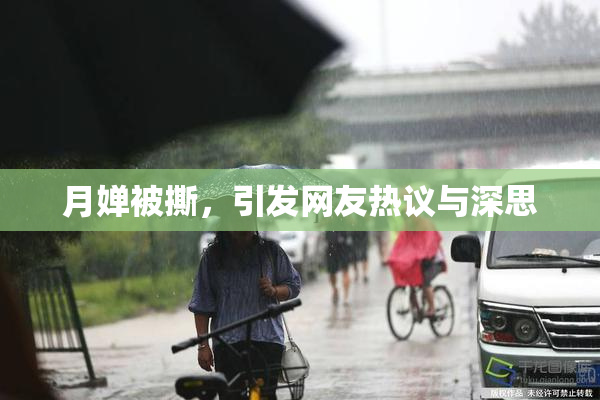 月婵被撕，引发网友热议与深思