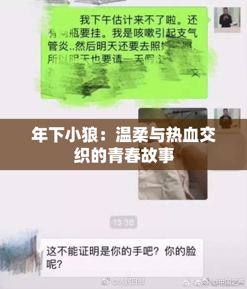 年下小狼：温柔与热血交织的青春故事