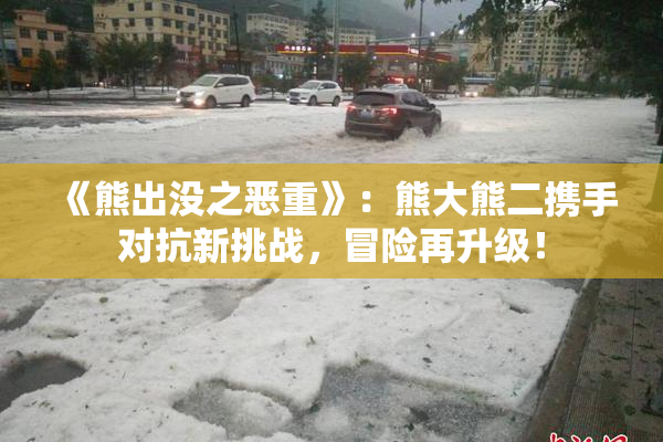 《熊出没之恶重》：熊大熊二携手对抗新挑战，冒险再升级！