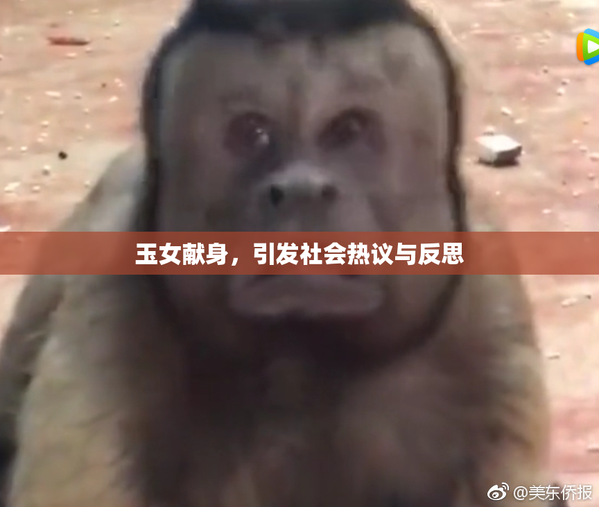 玉女献身，引发社会热议与反思