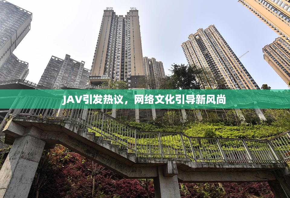 JAV引发热议，网络文化引导新风尚