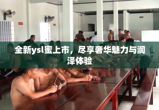 全新ysl蜜上市，尽享奢华魅力与润泽体验