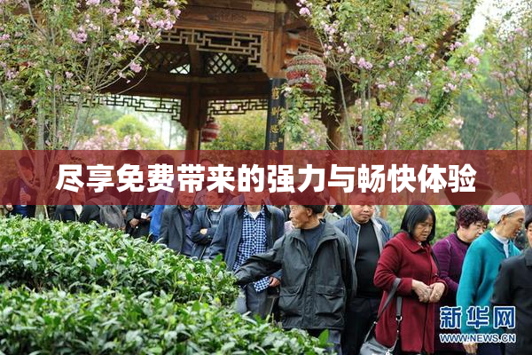 尽享免费带来的强力与畅快体验