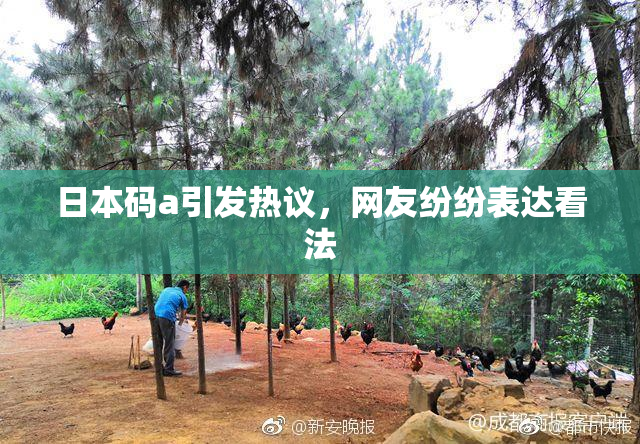 日本码a引发热议，网友纷纷表达看法