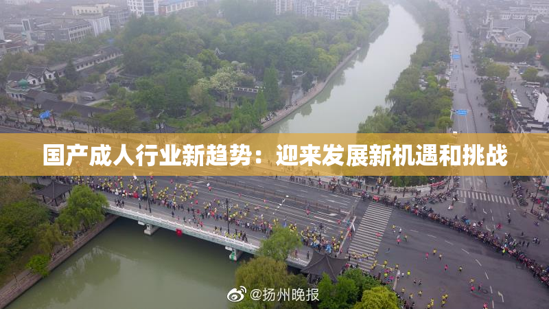 国产成人行业新趋势：迎来发展新机遇和挑战