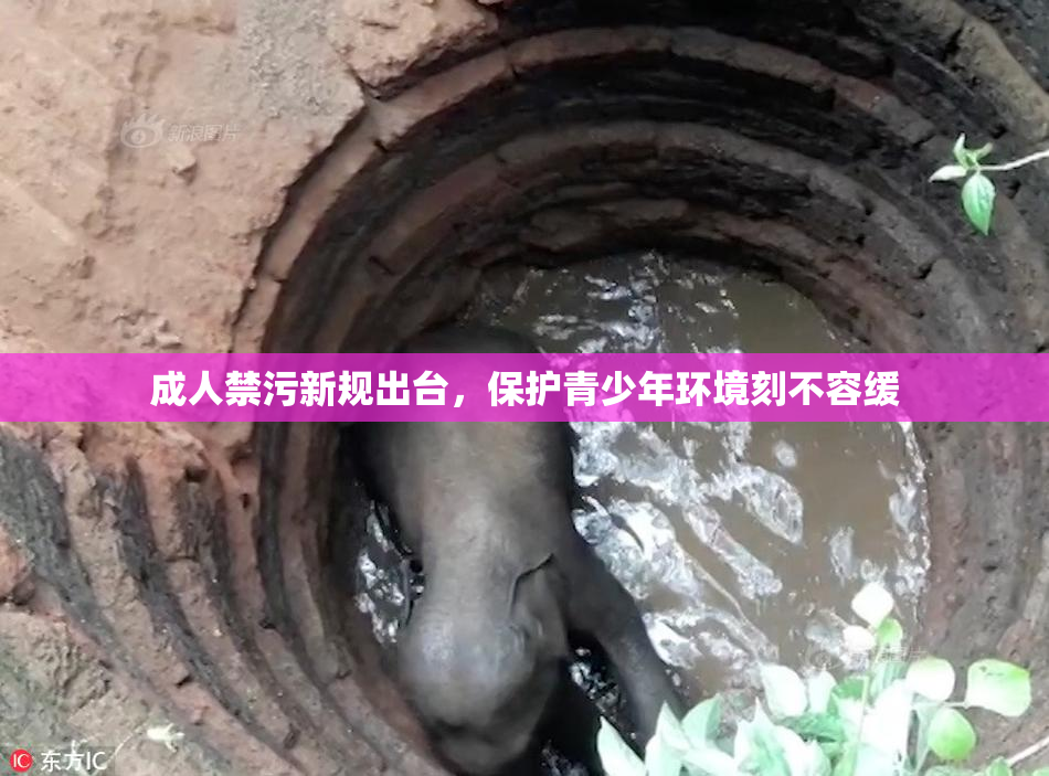 成人禁污新规出台，保护青少年环境刻不容缓