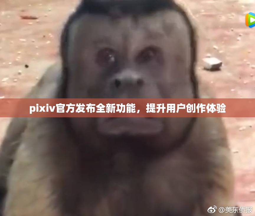 pixiv官方发布全新功能，提升用户创作体验