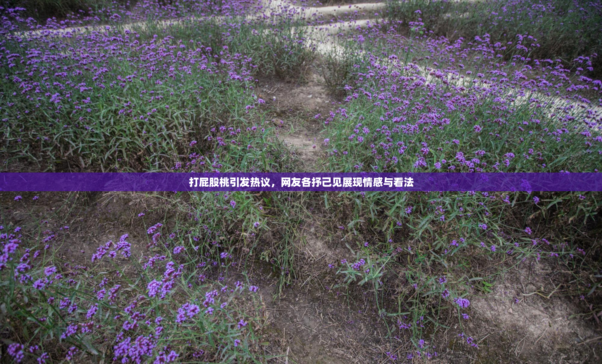打屁股桃引发热议，网友各抒己见展现情感与看法