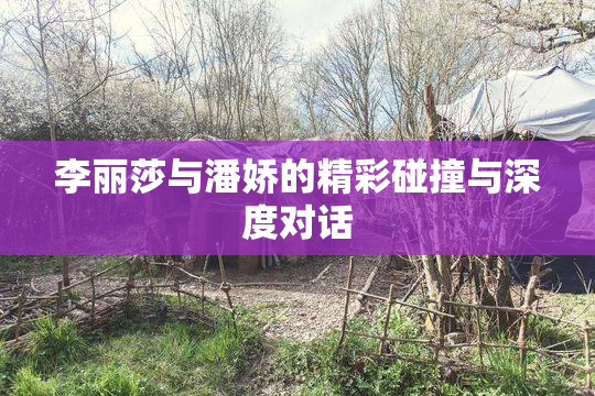 李丽莎与潘娇的精彩碰撞与深度对话