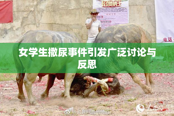 女学生撒尿事件引发广泛讨论与反思