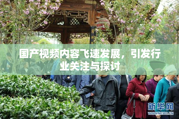 国产视频内容飞速发展，引发行业关注与探讨