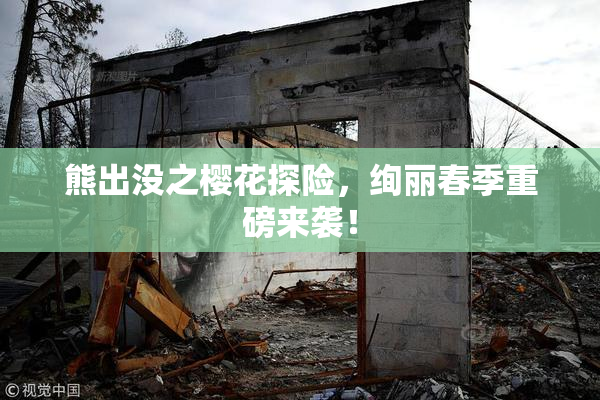 熊出没之樱花探险，绚丽春季重磅来袭！