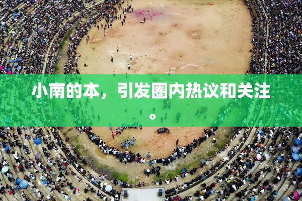 小南的本，引发圈内热议和关注。