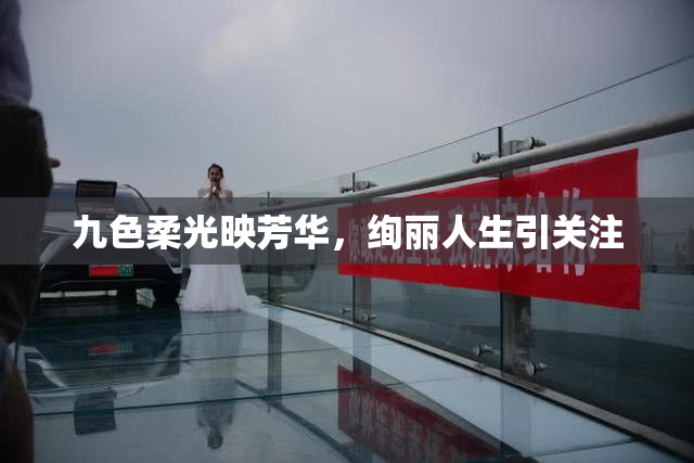 九色柔光映芳华，绚丽人生引关注