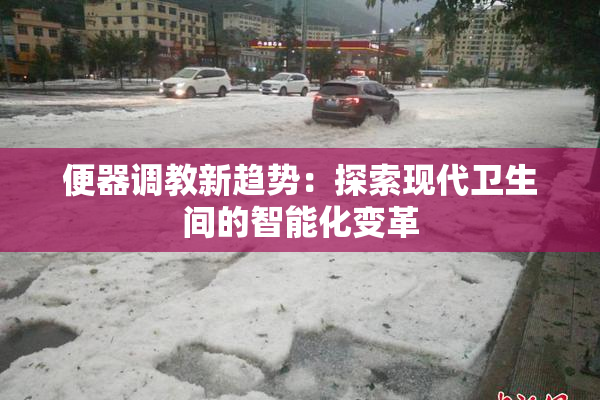 便器调教新趋势：探索现代卫生间的智能化变革