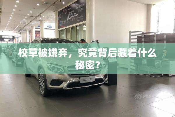 校草被嫌弃，究竟背后藏着什么秘密？