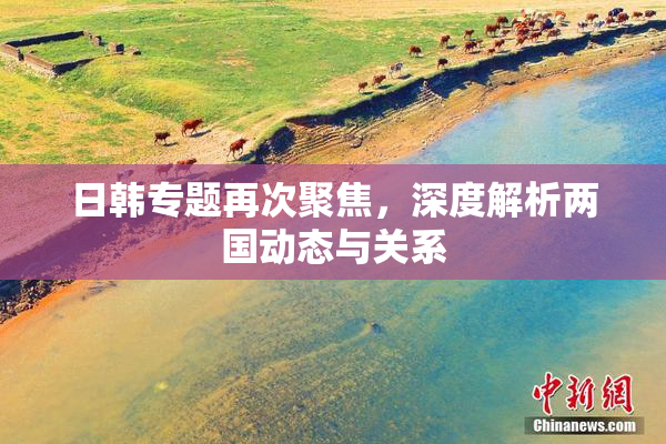 日韩专题再次聚焦，深度解析两国动态与关系