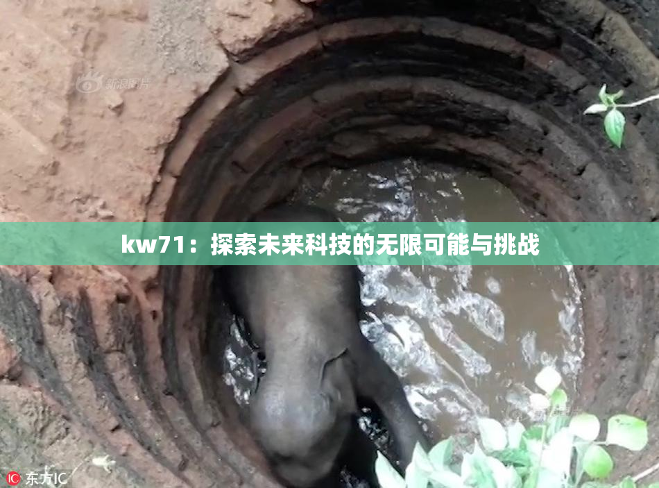 kw71：探索未来科技的无限可能与挑战