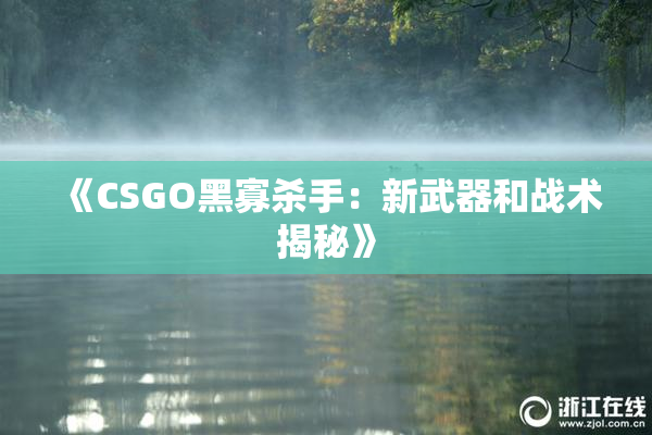 《CSGO黑寡杀手：新武器和战术揭秘》