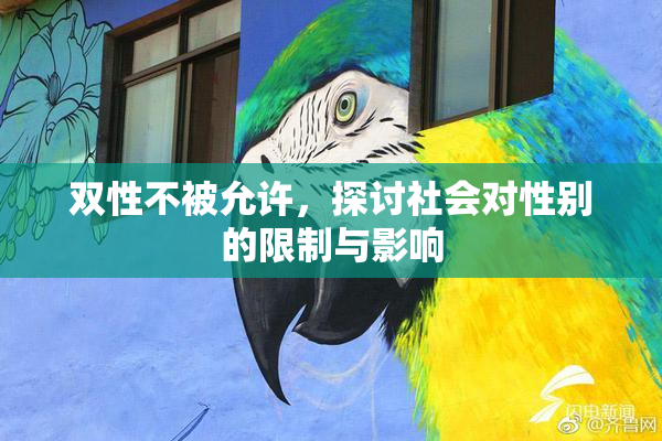 双性不被允许，探讨社会对性别的限制与影响