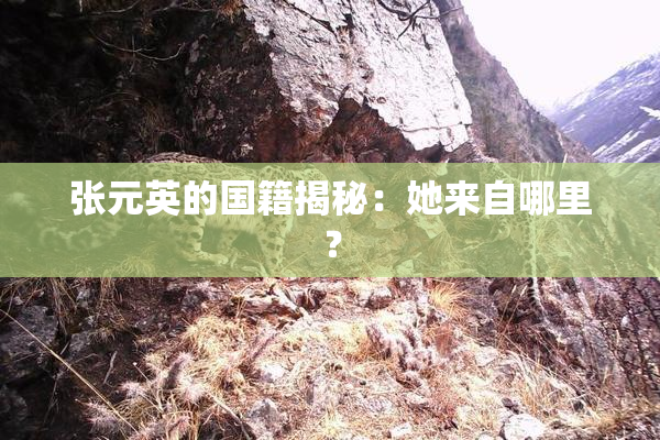 张元英的国籍揭秘：她来自哪里？