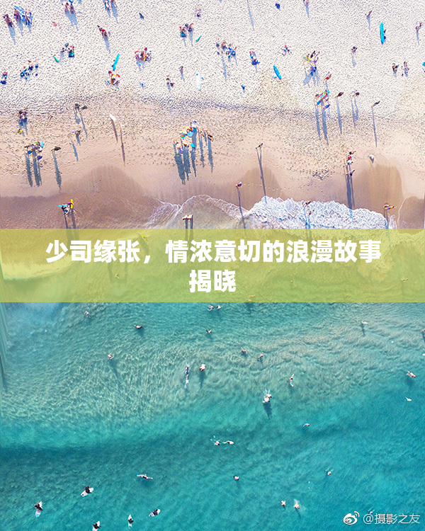 少司缘张，情浓意切的浪漫故事揭晓