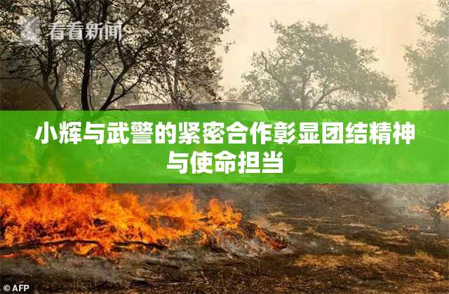 小辉与武警的紧密合作彰显团结精神与使命担当