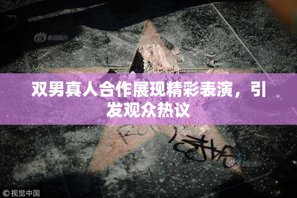 双男真人合作展现精彩表演，引发观众热议