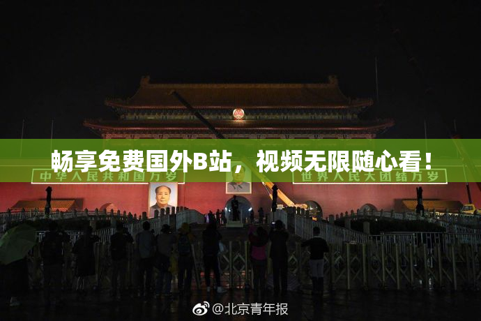 畅享免费国外B站，视频无限随心看！