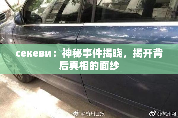 ceкеви：神秘事件揭晓，揭开背后真相的面纱