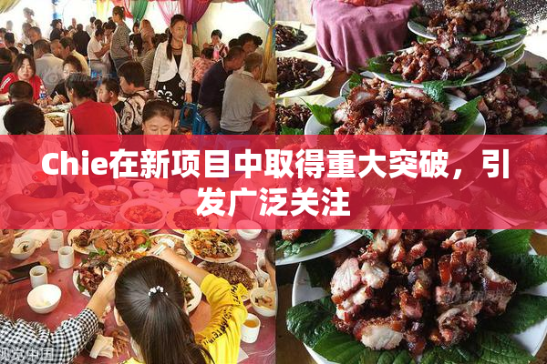 Chie在新项目中取得重大突破，引发广泛关注
