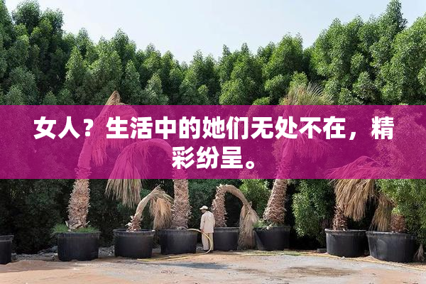 女人？生活中的她们无处不在，精彩纷呈。