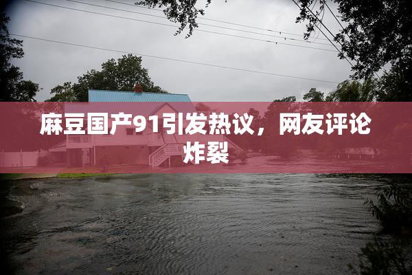 麻豆国产91引发热议，网友评论炸裂