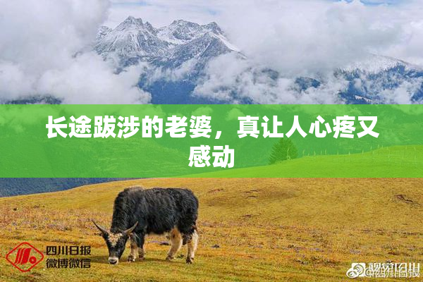 长途跋涉的老婆，真让人心疼又感动