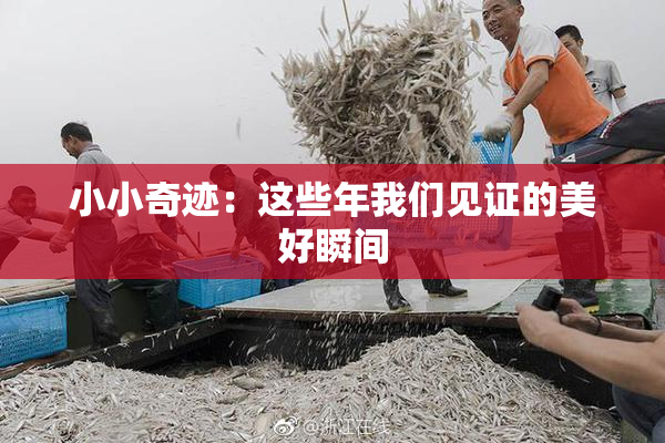 小小奇迹：这些年我们见证的美好瞬间