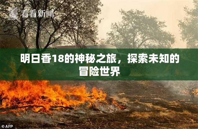 明日香18的神秘之旅，探索未知的冒险世界