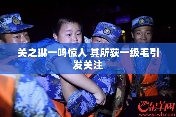 关之琳一鸣惊人 其所获一级毛引发关注
