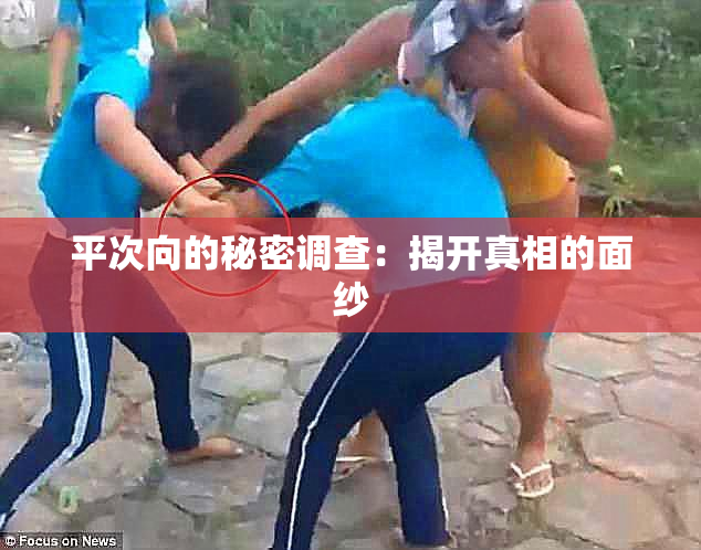 平次向的秘密调查：揭开真相的面纱